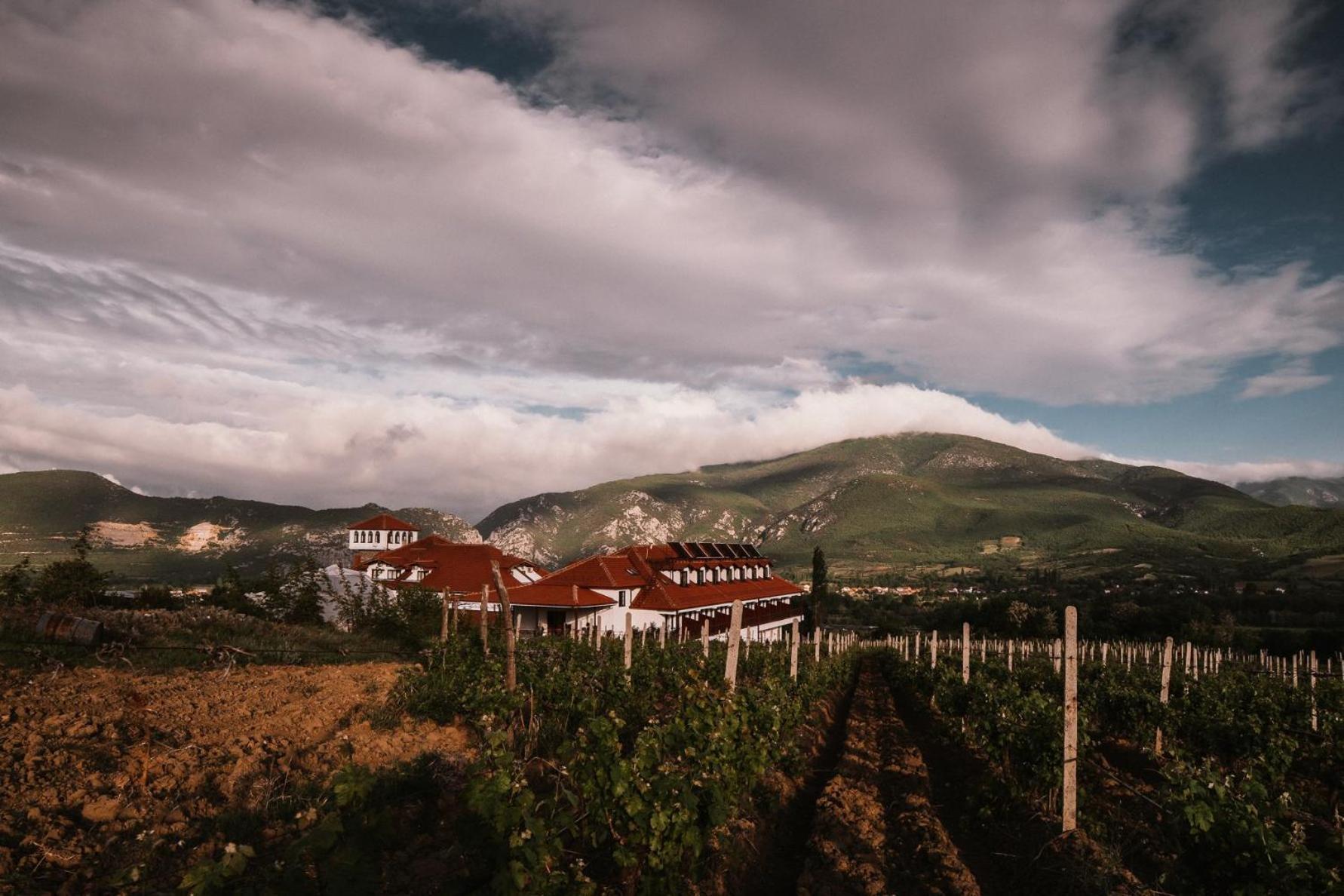 Popova Kula Hotel & Winery Демир-Капия Экстерьер фото