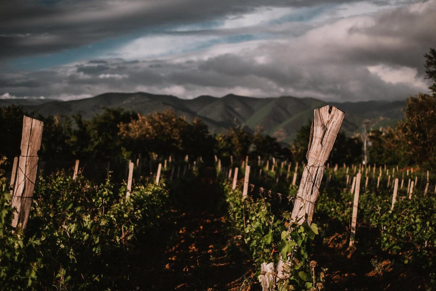 Popova Kula Hotel & Winery Демир-Капия Экстерьер фото